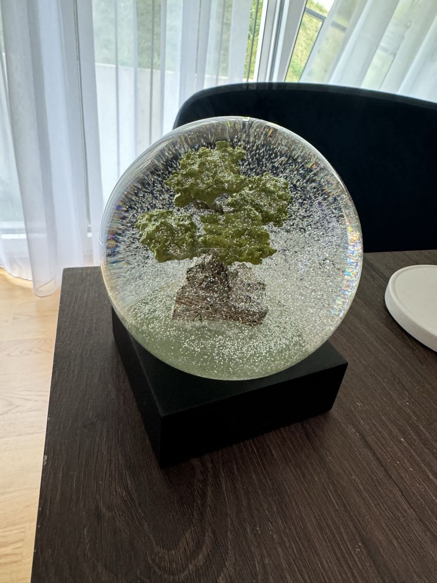 Tutte le decorazioni: Schneekugel Bonsai Baum CoolSnowGlobes – Nuovo (secondo la descrizione) da Luzern venduto da file_maker 5