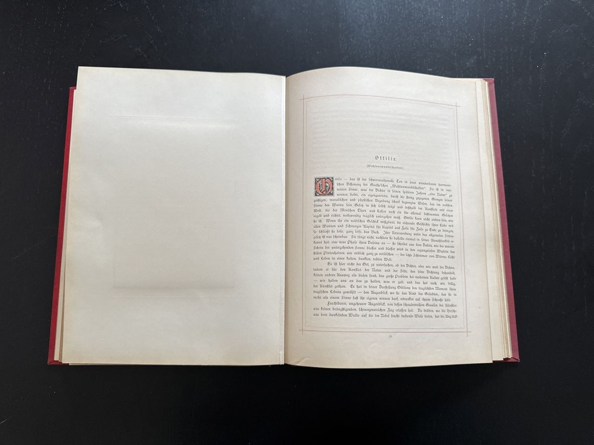 Libri: Goethe-Gallerie – Usato da Erstfeld venduto da Uhu1980 4