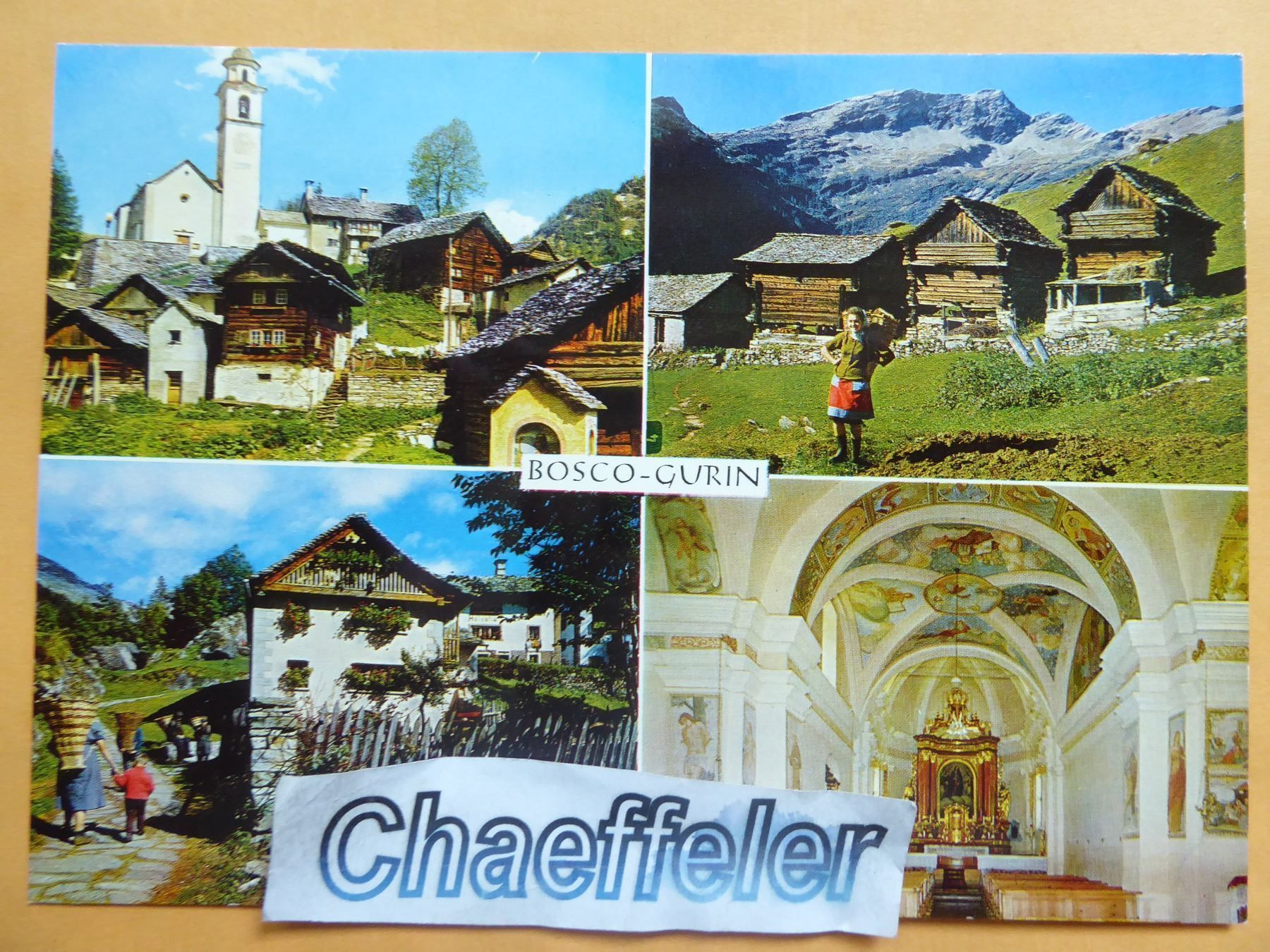 Cartoline postali: Bosco - Burin – Nuovo (secondo la descrizione) da Zürich venduto da Chaeffeler