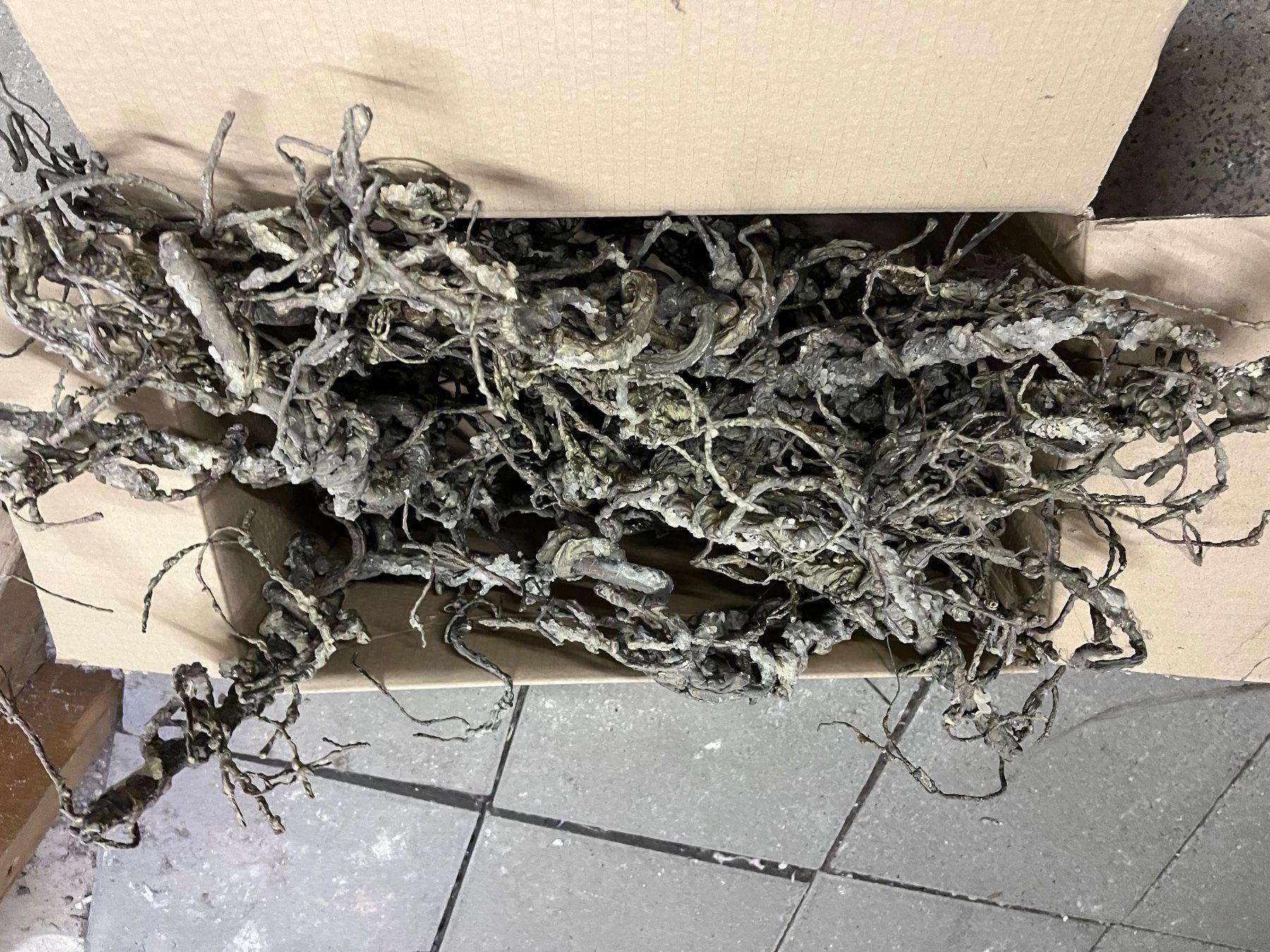 Alle Dekorationen: Dekoholz – Gebraucht aus Weisslingen von Eniclote