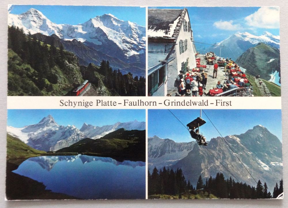 Schynige Platte - Faulhorn - Grindelwald-First | Kaufen auf Ricardo