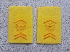 Gradabzeichen Patten Set Adjutant Panzergrenadier