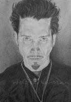 Portrait v. Chris Cornell