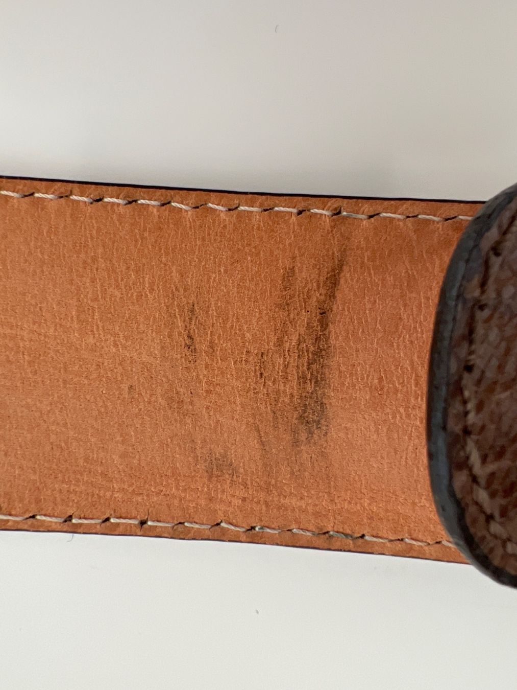 Cinture: REPTILE LEATHER GUERTEL – Usato da Zürich venduto da SWKA 4