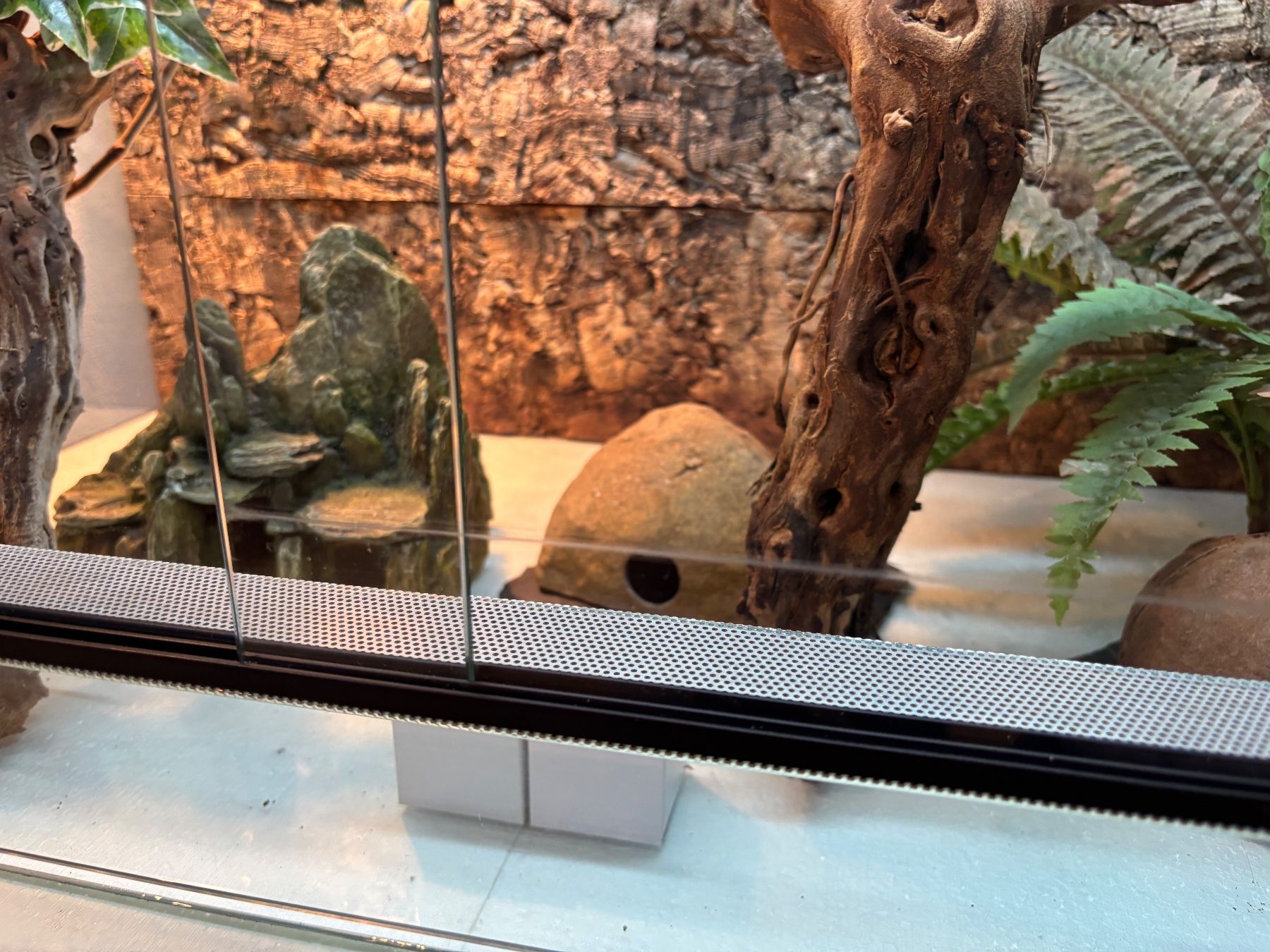 Terrarium: Glas Terrarium inklusive Zubehör – Gebraucht aus Lyss von klopferli9 1