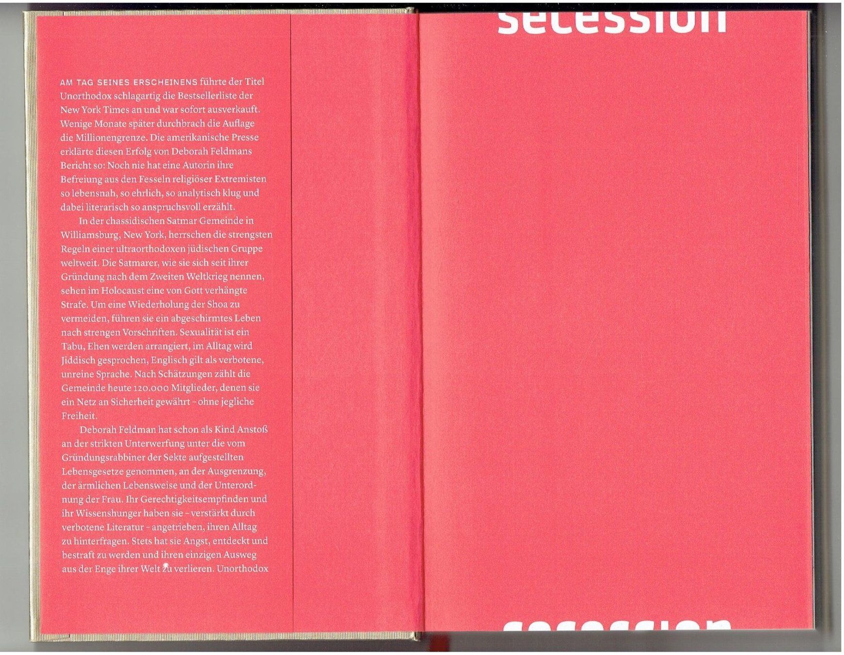 Livres: Debora Feldmann UNorthodox – Neuf (Voir description) à Flims - Dorf par Stagediver 2