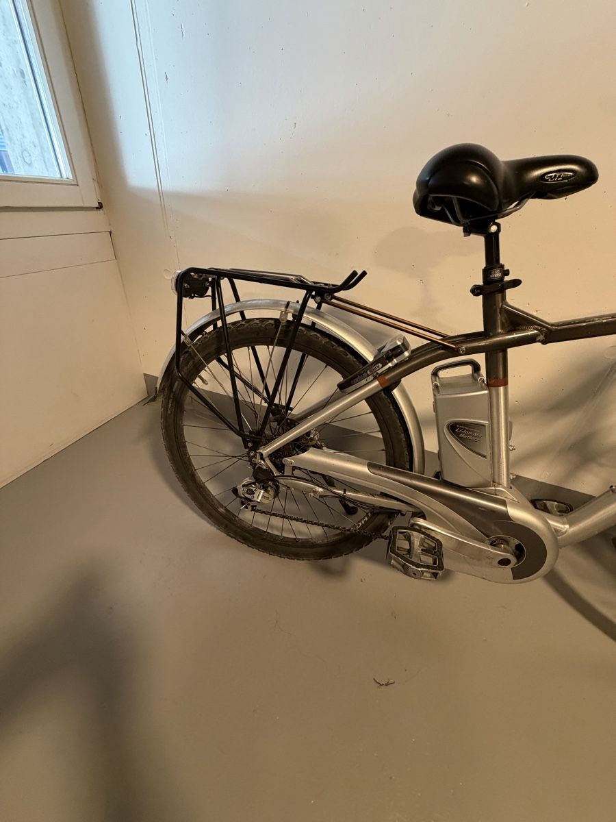 Flyer Biciclette: Elektrovelo Flyer – Usato da Kägiswil venduto da rezha 2