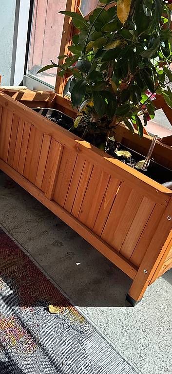 Altre Decorazioni per giardino: 3 Blumenkasten mit Rankgitter  – Usato da Winterthur venduto da Calgory 3