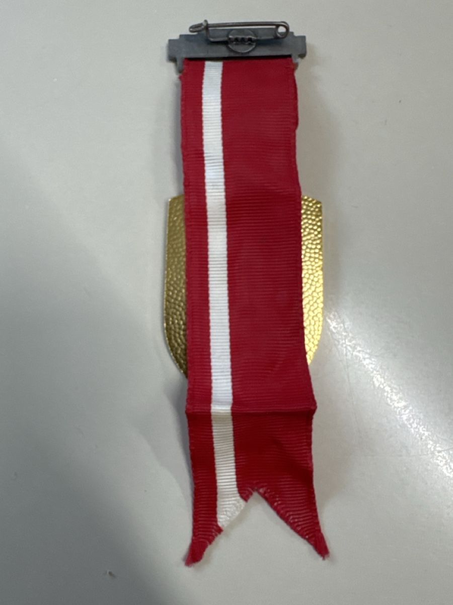 Medaillen: Schiessmedaille Endschiessen Solothurn 1978 – Gebraucht aus Zürich von Smarties13 3