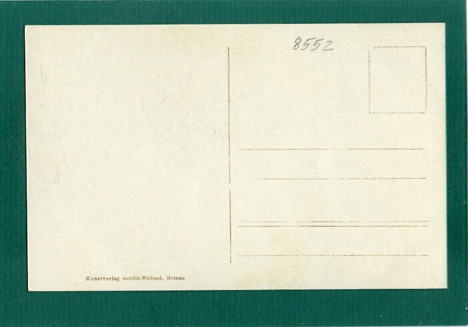 Ansichtskarten: Lütschinenschlucht, ca. 1925, ungelaufen – Gebraucht aus Sargans von Hausi1951 1