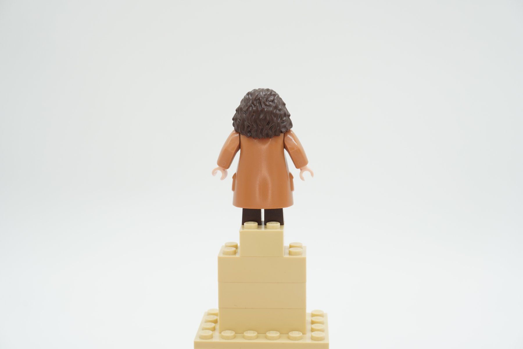 Lego Spielzeuge: Lego Harry Potter Rubeus Hagrid Bundle – Gebraucht aus Zürich von PWGrZ 6