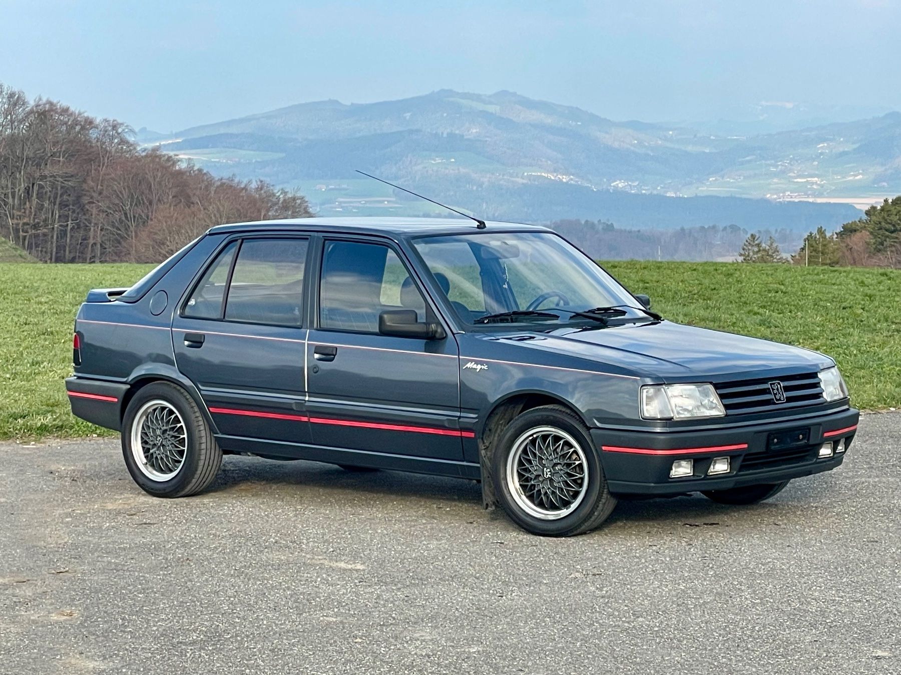 Peugeot Automobili: Peugeot 309 Ph2 – Usato da Belp venduto da Detailfreak 5