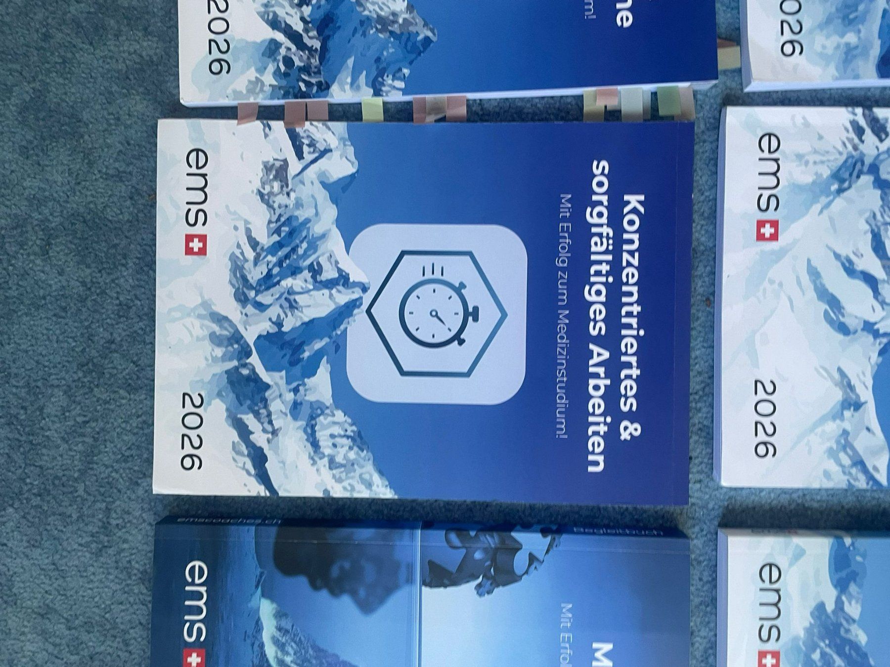 Libri: EMS 2026 Materialien – Usato da GOLDACH venduto da seller01 1