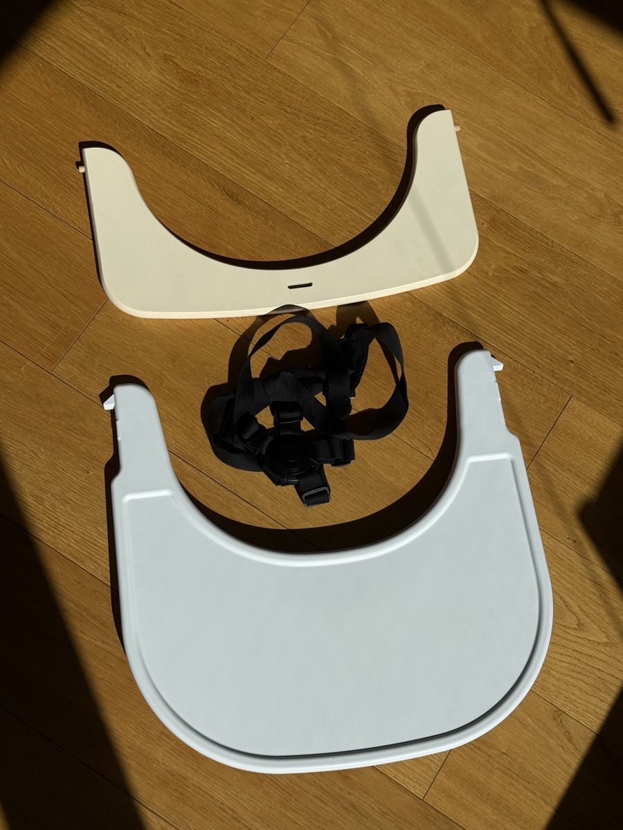 Hauck Seggioloni: Hauck Alpha+ and Tray – Usato da Thalwil venduto da art_kor