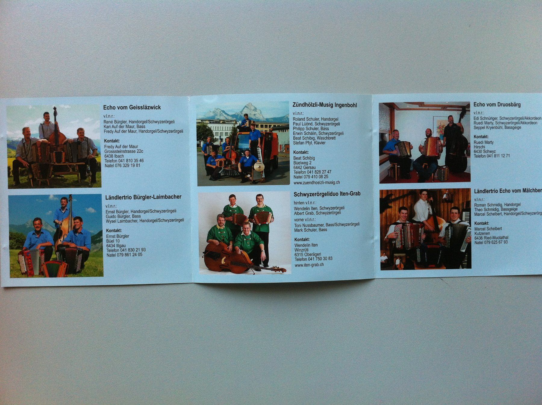CD: CD "Trychlerstimmig" 8 Formationen 2008 – Usato da Brunnen venduto da Artemis53 1