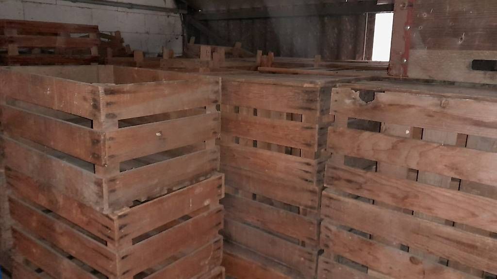 Casse di trasporto: Holzharasse – Usato da Susten venduto da Pingu6991 3