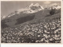 Brigelserhörner 1948