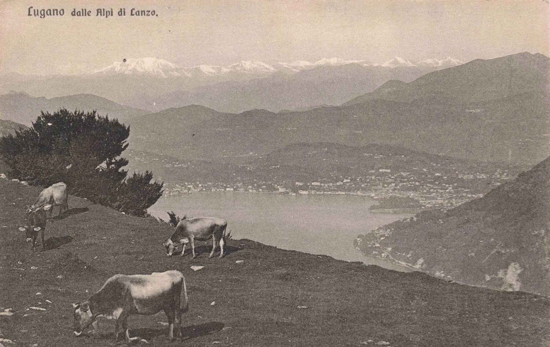 Cartoline postali: Lugano alpi lanzo – Usato da Biasca venduto da Blenio71