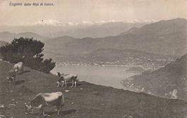 Lugano alpi lanzo