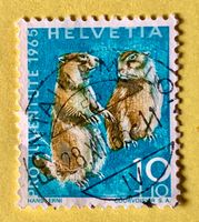Nr.J 211 GESTEMPELT Alpenmurmeltier 1965  