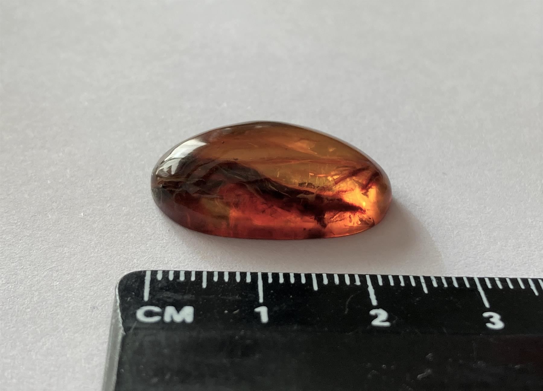 Minerali & Pietre curative: Cabochon Ambre 1,6 g / Bernstein – Nuovo e nell'imballaggio originale da Goumoens-la-Ville venduto da brandonv 1