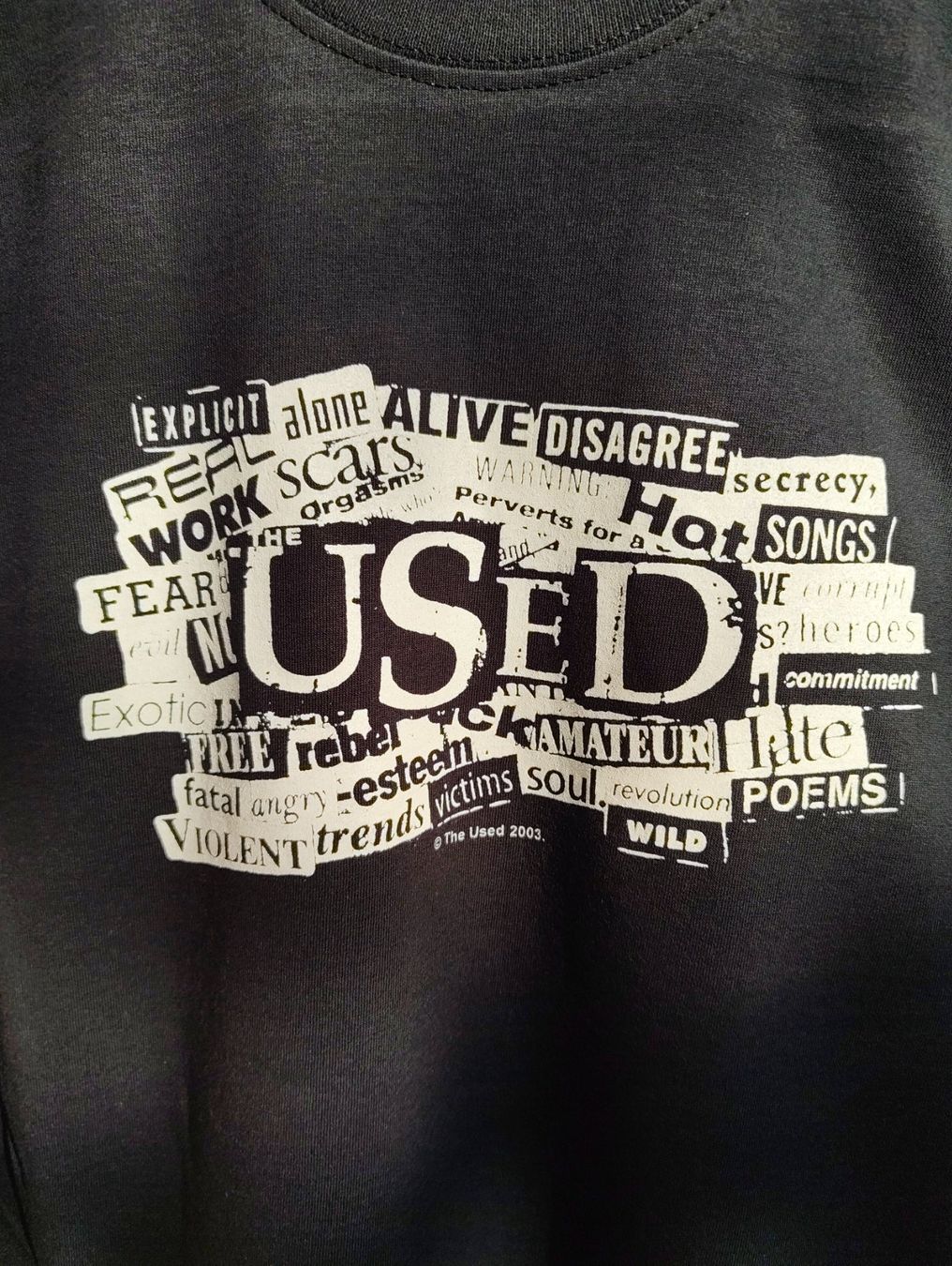 T-Shirts: The Used - VINTAGE UNWORN SHIRT – Neu (gemäss Beschreibung) aus St-Aubin-Sauges von Cradle_of_Shirt 2