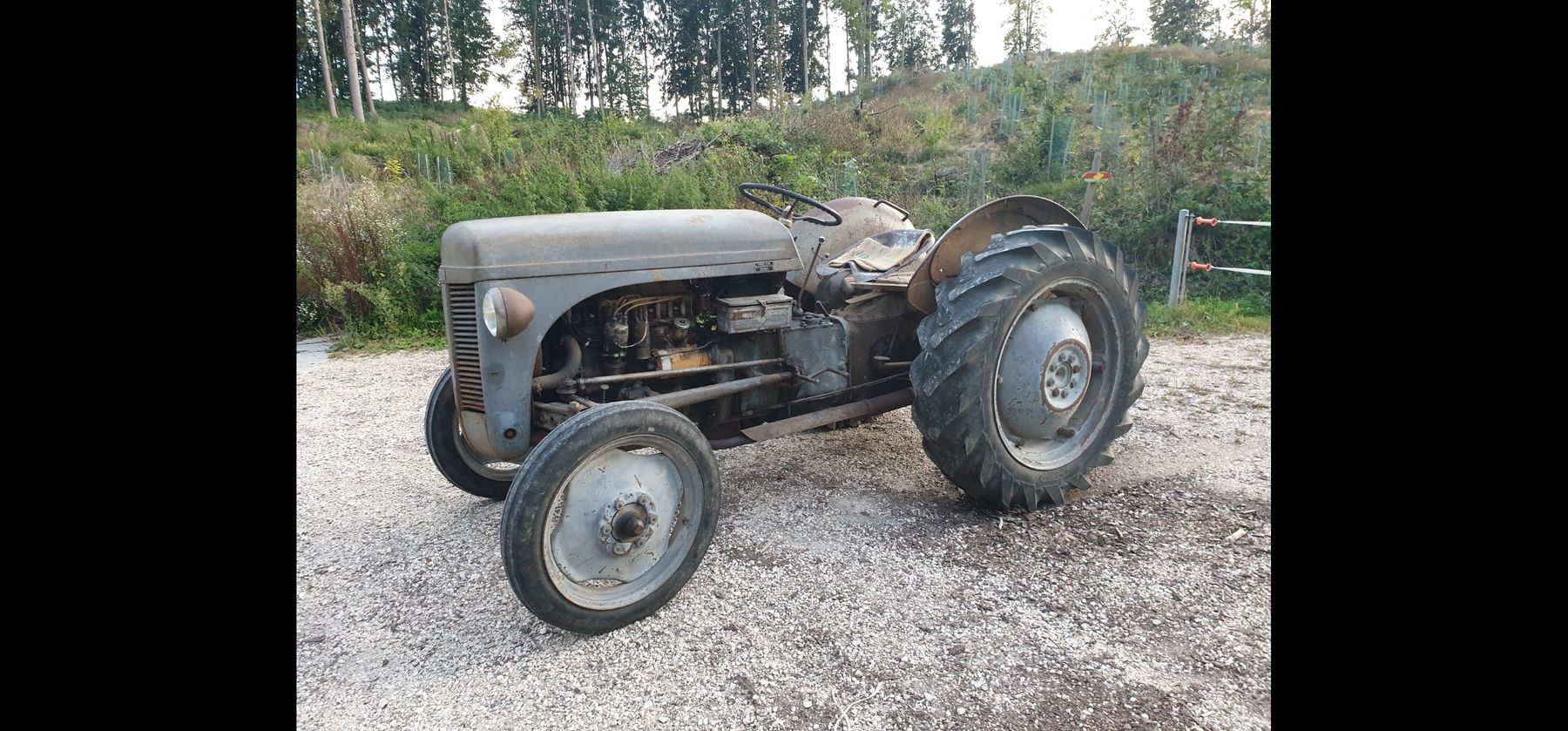 Trattori: Traktor Ferguson – Usato da Kestenholz venduto da Arion4703