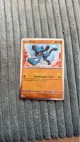Riolu Holograph Pokémon Karte 
