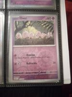 023/091 Owei Holo Reverse 🇩🇪