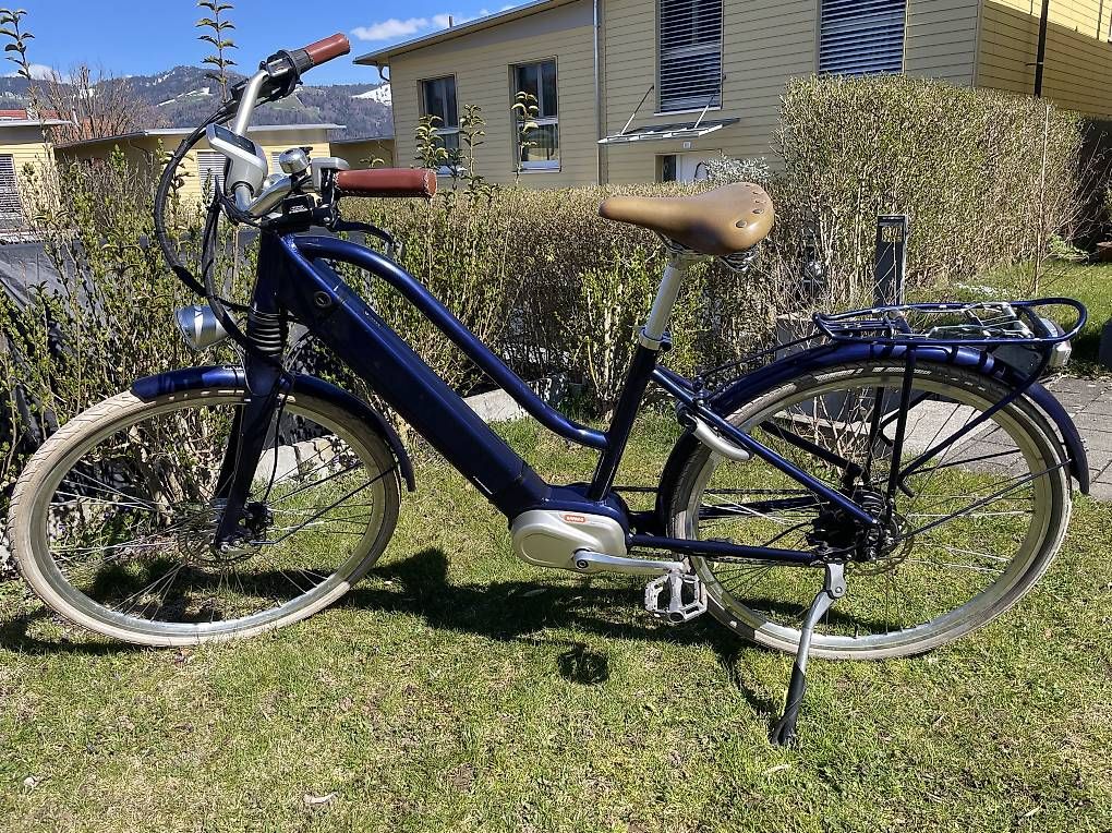 Ego Movement Biciclette: Ego Movement E-Bike – Usato da Einigen venduto da Julchen8