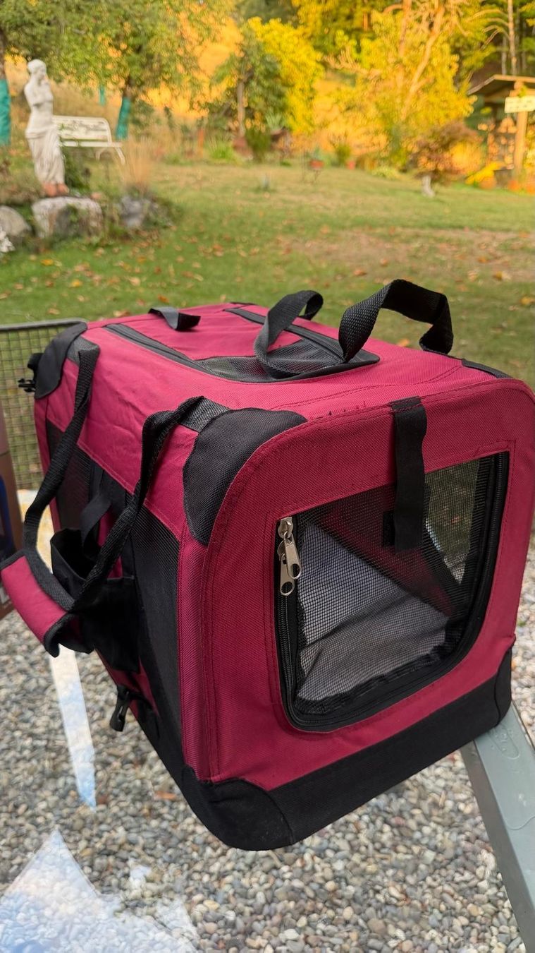 Käfige, Transport & Sicherheit: Transporttasche Hund Katze rot – Gebraucht aus Krauchthal von SamsPuce