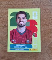 Panini PEDRO NETO POR 19