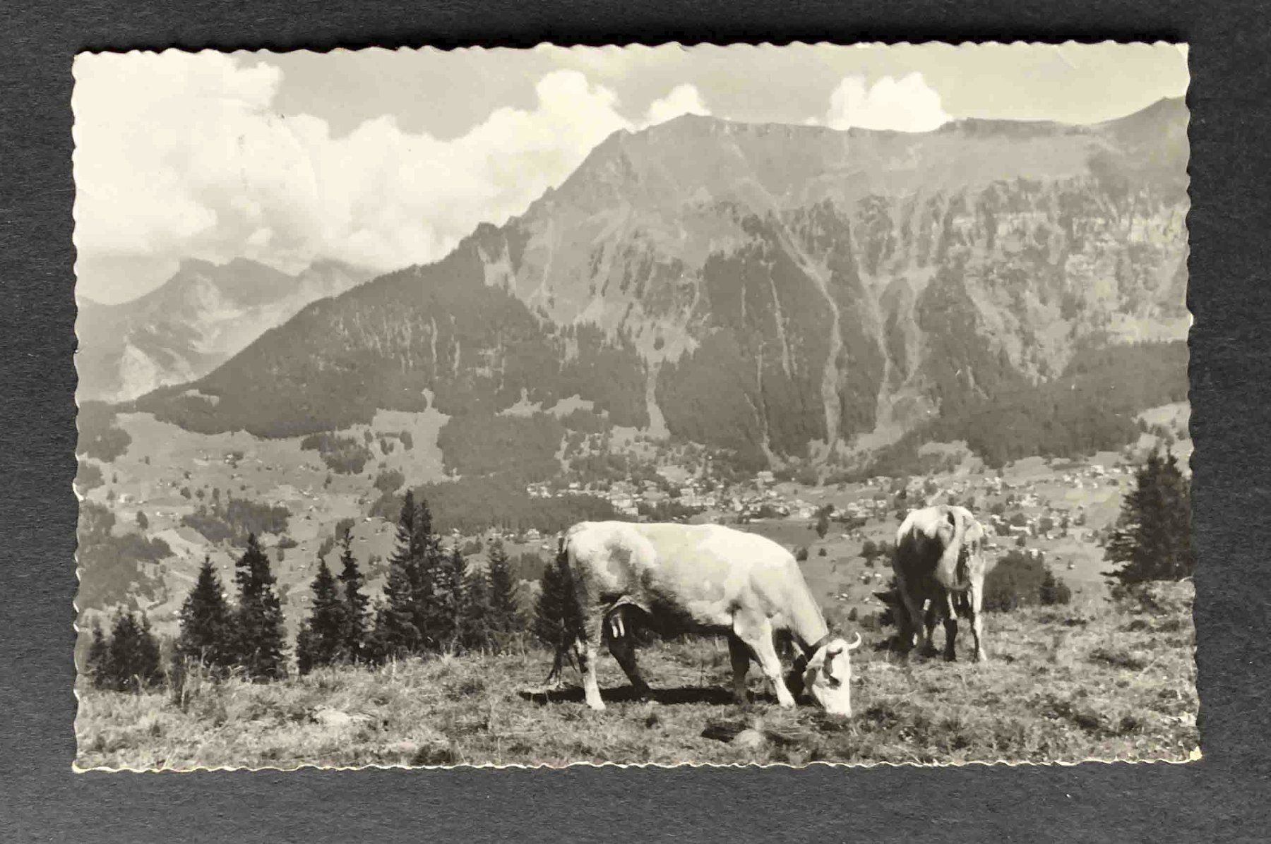 Cartes postales: AK Wengen – D'occasion à Goldau par artelier1