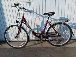 Damenvelo Citybike Leopard ab Service