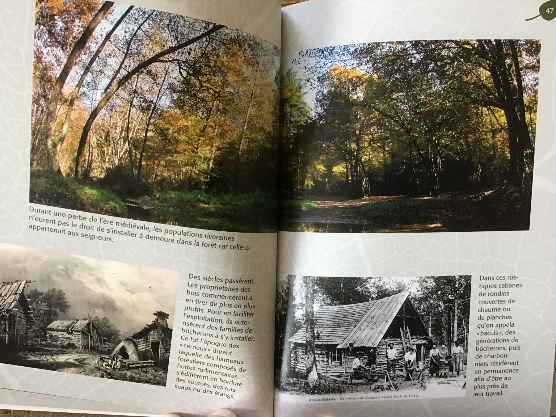 Libri: André Besson, secrets de la forêt – Usato da Fully venduto da Ruby97 5