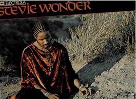 Stievie wonder calking  book