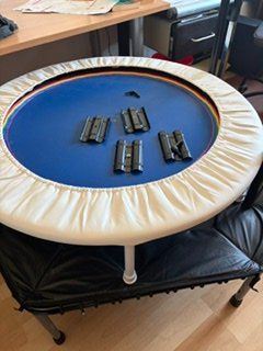 Bellicon Trampolini: Bellicon Trampolin mit Haltebügel – Usato da Horgen venduto da Passport