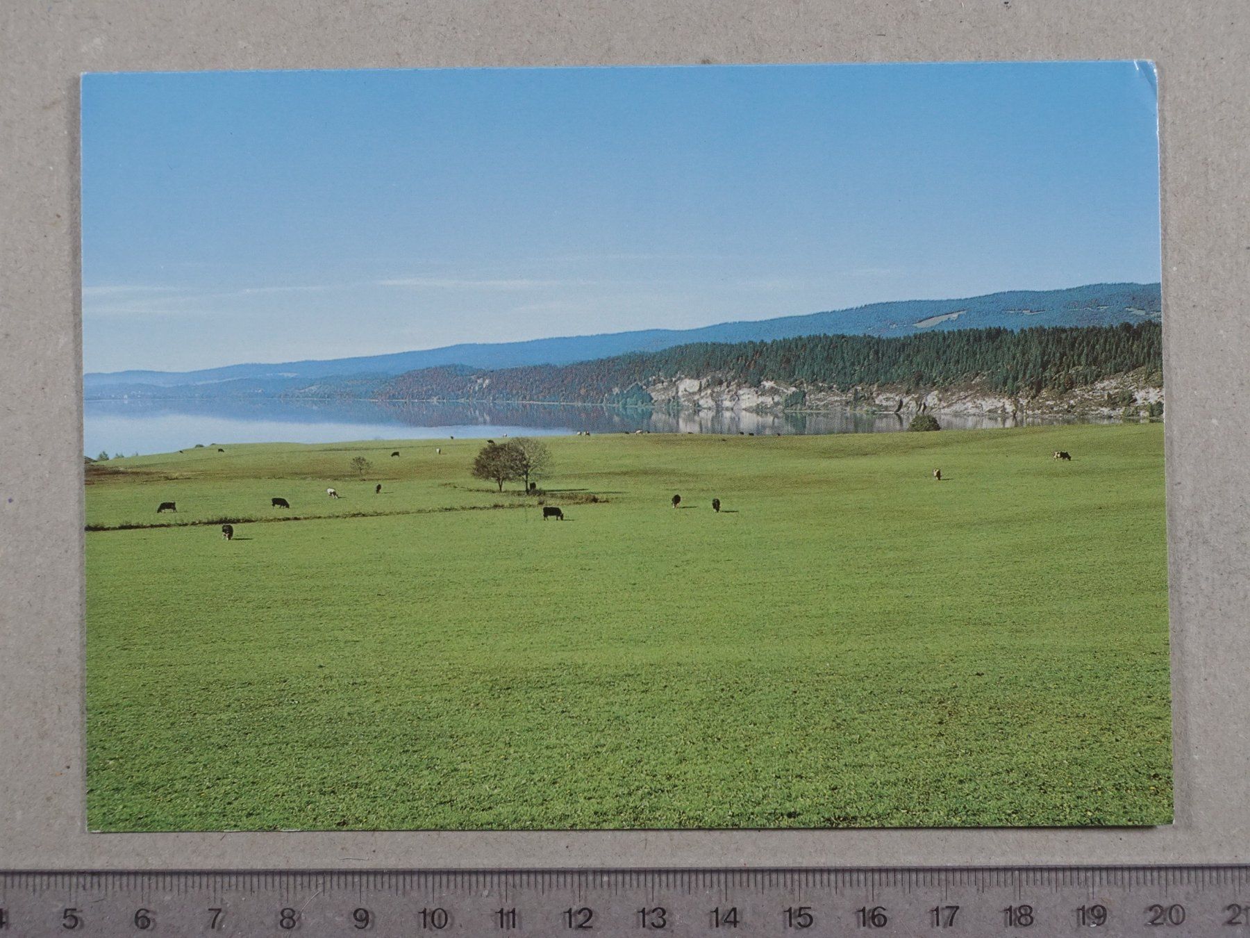 Cartoline postali: Saubraz, 1988 – Usato da Lenzburg venduto da fh1