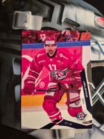Igor Jelovac Rapperswil Jona Lakers Sportzoo 2025/26