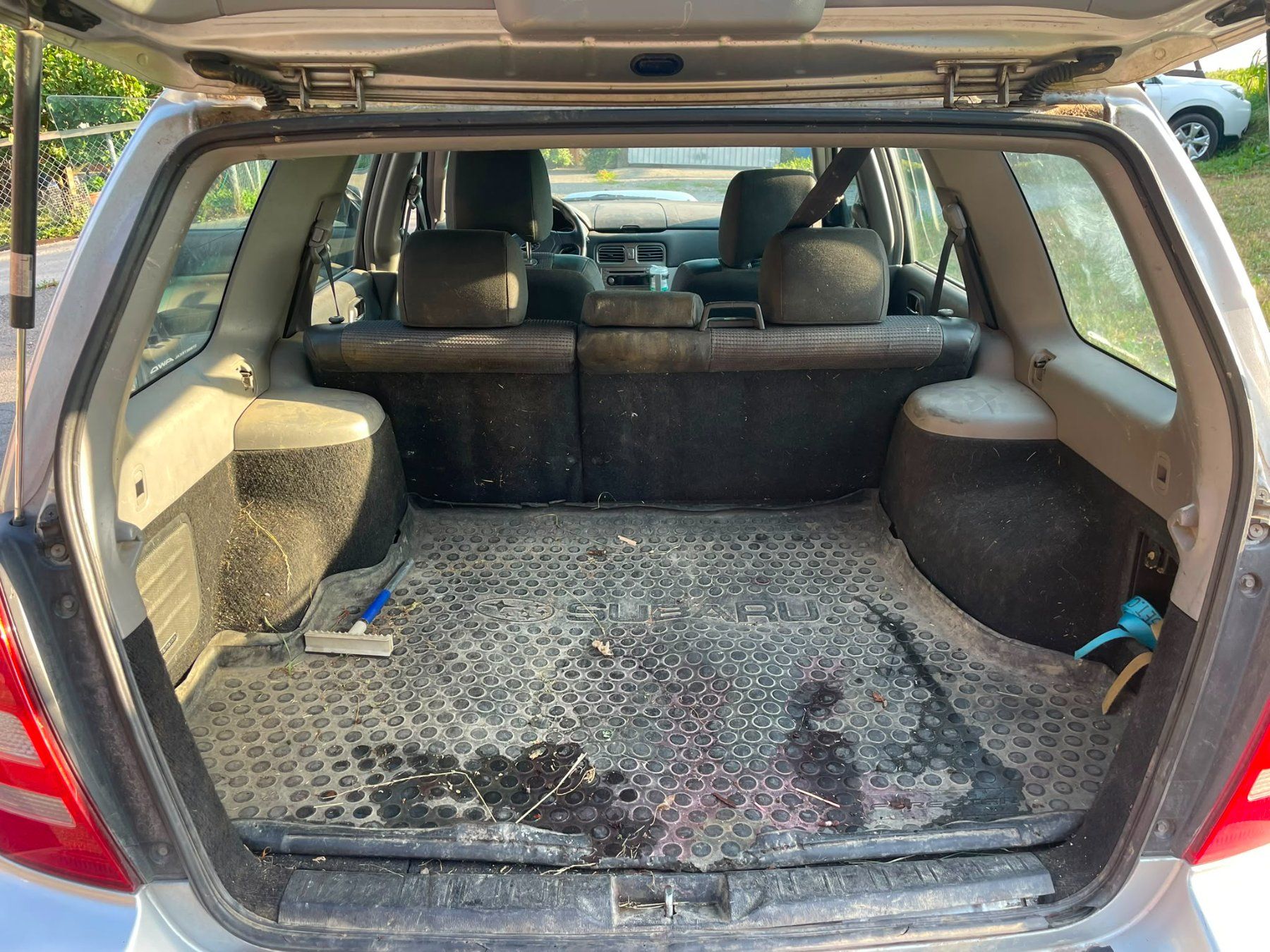 Subaru Automobili: Subaru Forester Turbo – Difettoso da Schübelbach venduto da Stift5 7