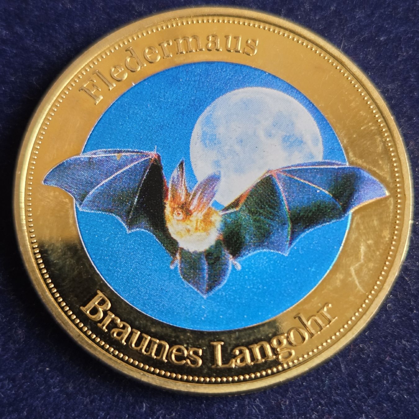 Medaillen: Vergoldete Medaille 2012, Top.. – Gebraucht aus Stans von Ducati16 2