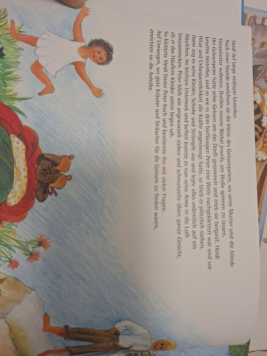 Libri: Heidi-Bildeebuchreihe, 5 Exemplare – Usato da Bremgarten venduto da tiz_x5xc 3