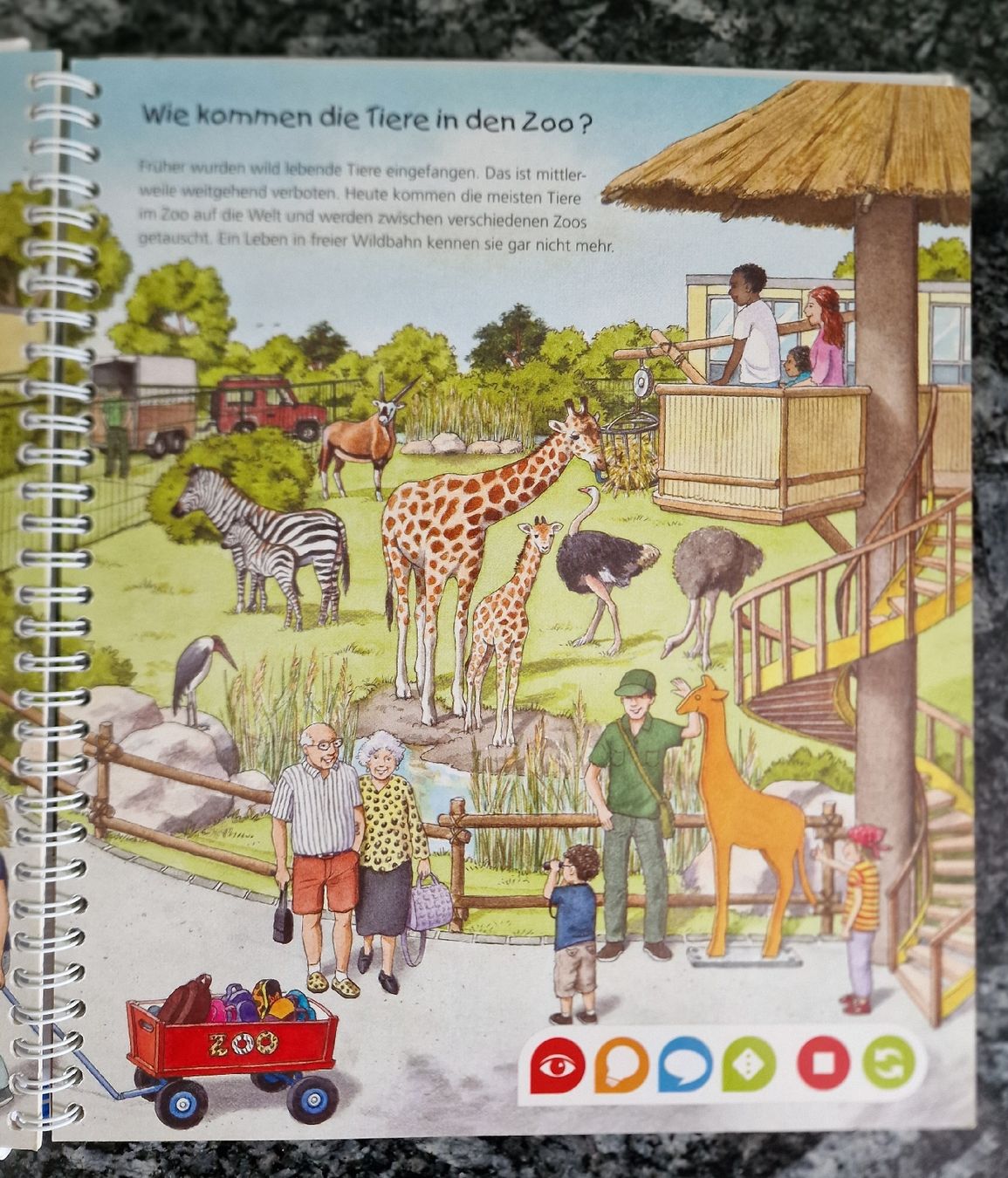 Libri: tiptoi Buch: Entdecke den Zoo – Nuovo (secondo la descrizione) da Uster venduto da Gulabin 1