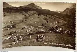 Les Diablerets - Route du Pillon - Paysan avec ses vaches