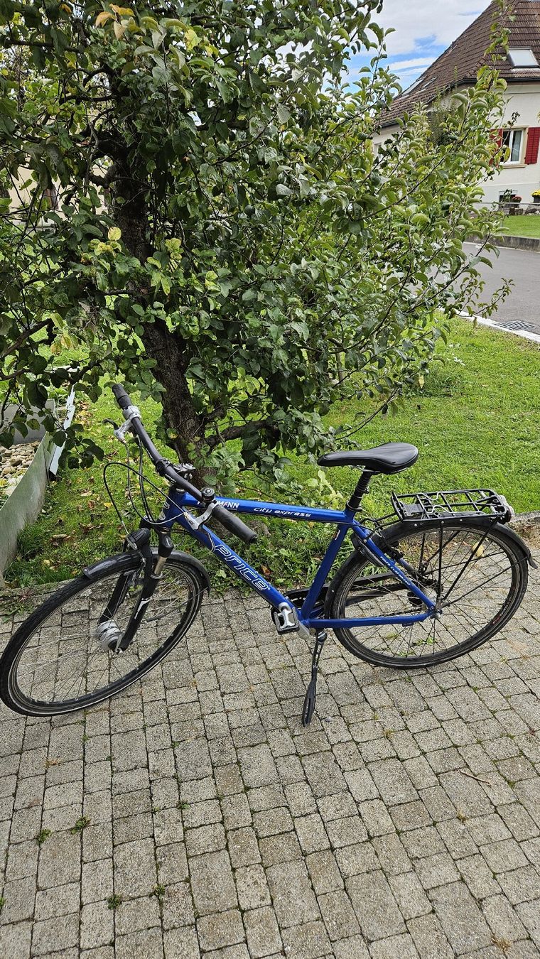 Price Biciclette: Herrenvelo Marke Price – Usato da Staufen venduto da nil_k8sl