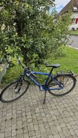 Herrenvelo Marke Price