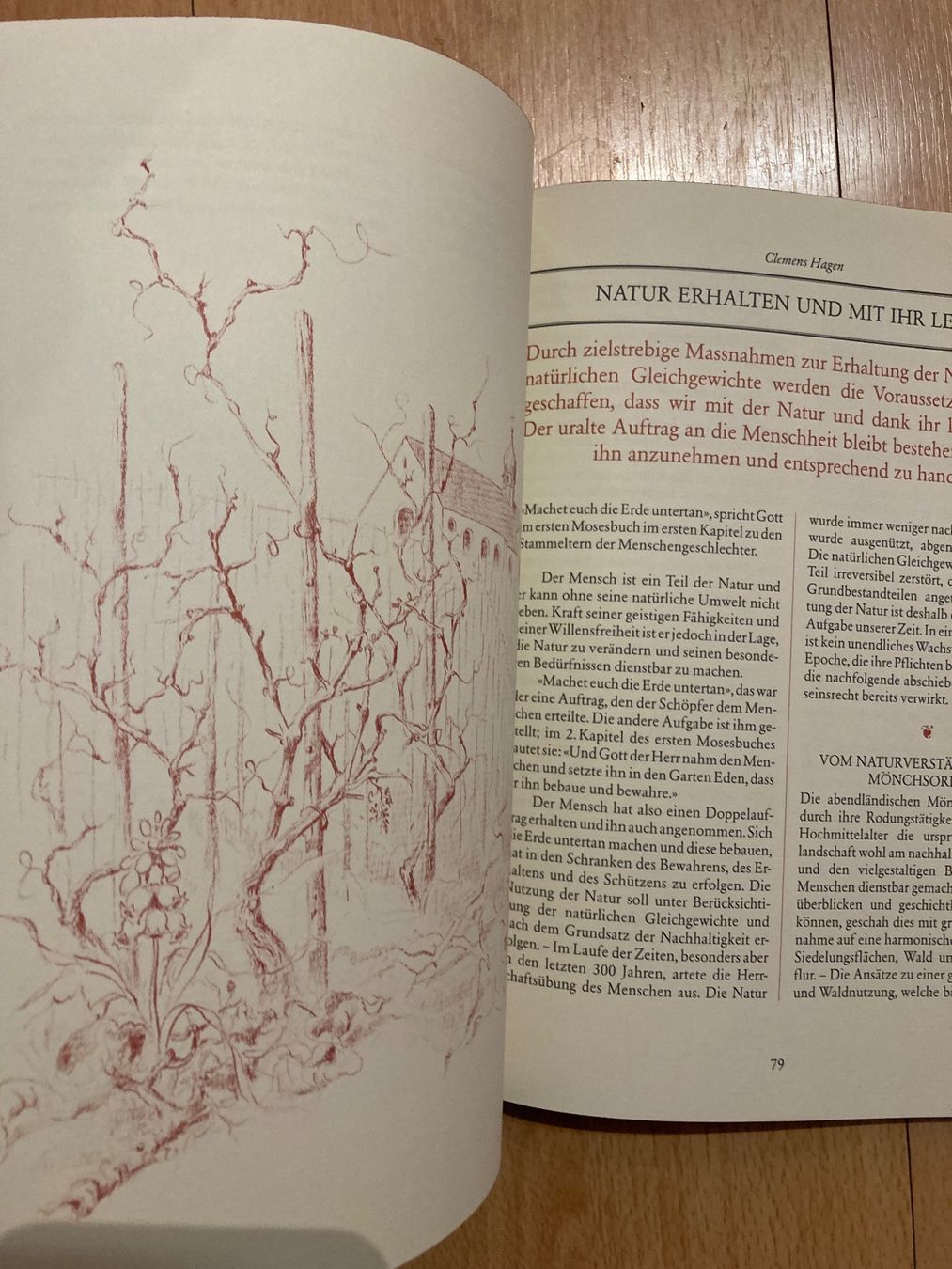 Libri: Festgabe Einweihung Kartause Ittingen 1983 – Usato da Adliswil venduto da tchest007 5