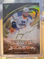 Sportzoo - Stars of the Season - David Sklenicka - 25/30