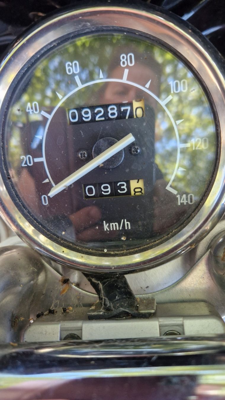 Yamaha Chopper: Motorrad Yamaha Virago XV125 – Usato da Oberkirch LU venduto da Jana159 1