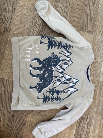 Pullover So Cute beige Motiv Wild and Free Grösse 98